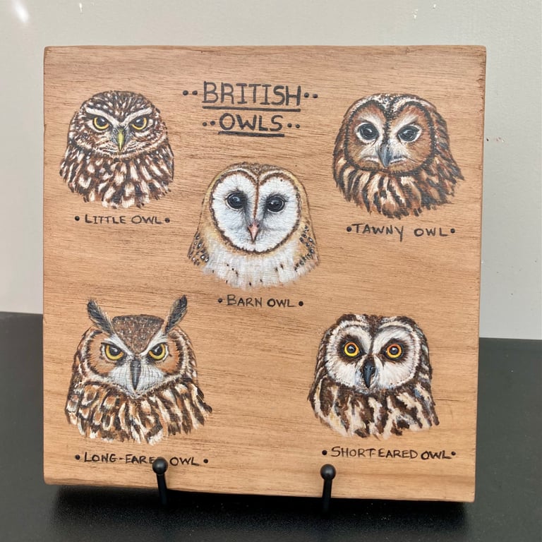 British owls original painting on birch wood
