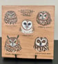 British owls original painting on birch wood