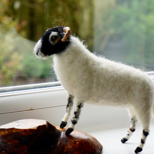 Swaledale Sheep Needle Felted