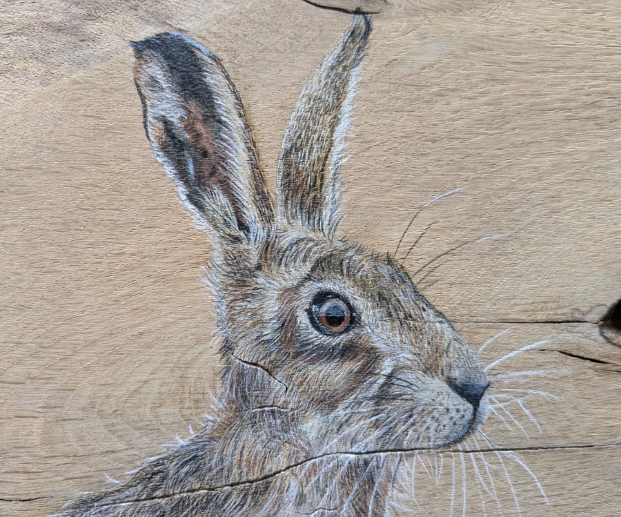 Original Hare Painting on Reclaimed and Repurposed Wood