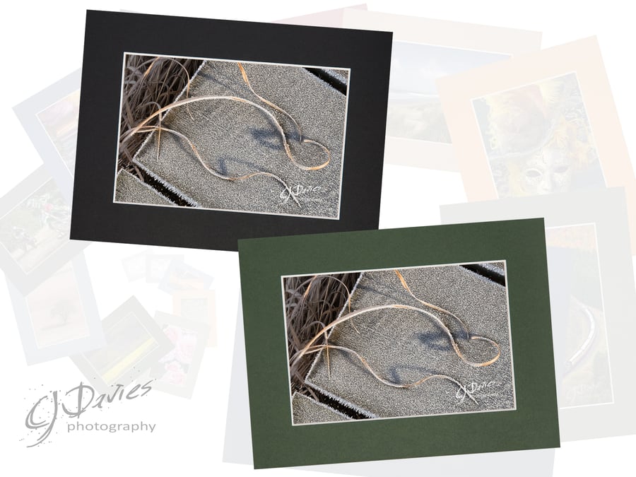 CJ113 - Christmas card: Frosty curls