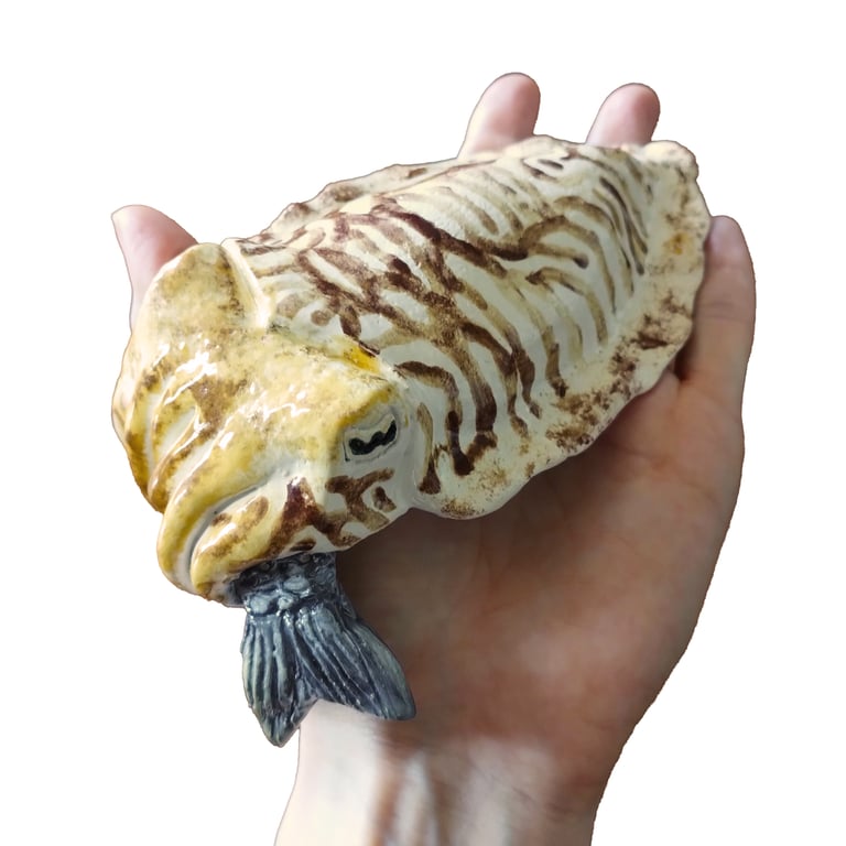 Cuttlefish Ceramic Sculpture - Handmade