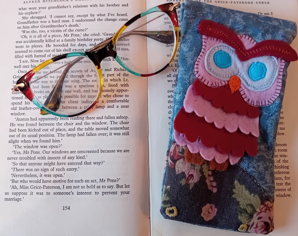 Handmade Owl Glasses Case