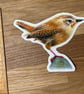 European Wren Sticker - Image 3