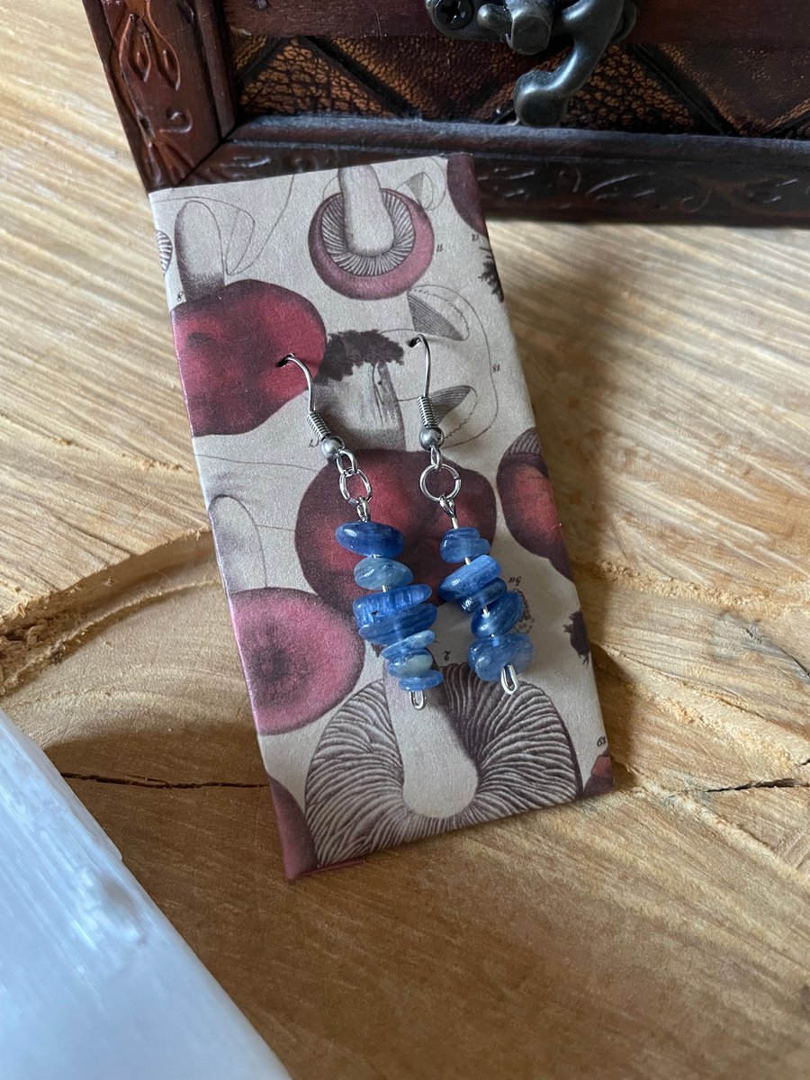 Kyanite Crystal Earrings 