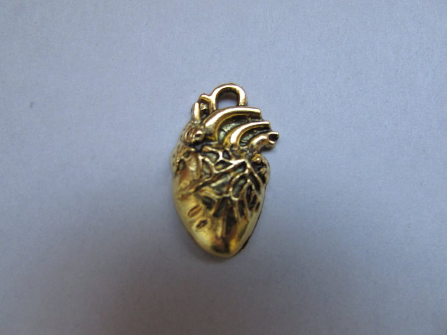 Gold Anatomical Heart Jewellery making charm pendant