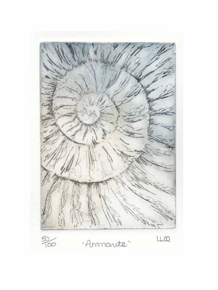 Etching no.50 of an ammonite fossil in an edition of 100