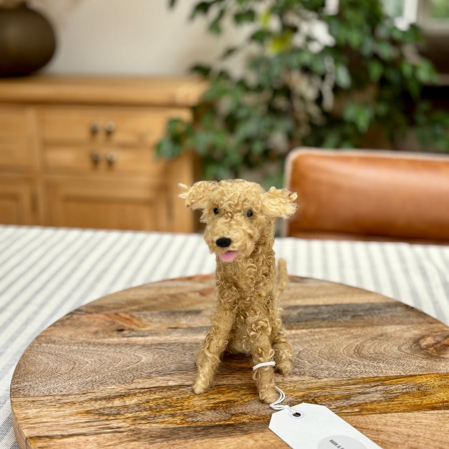Needle felt handmade golden labradoodle, cockapoo dog