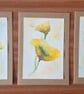 Sunshine Poppies  - Image 1