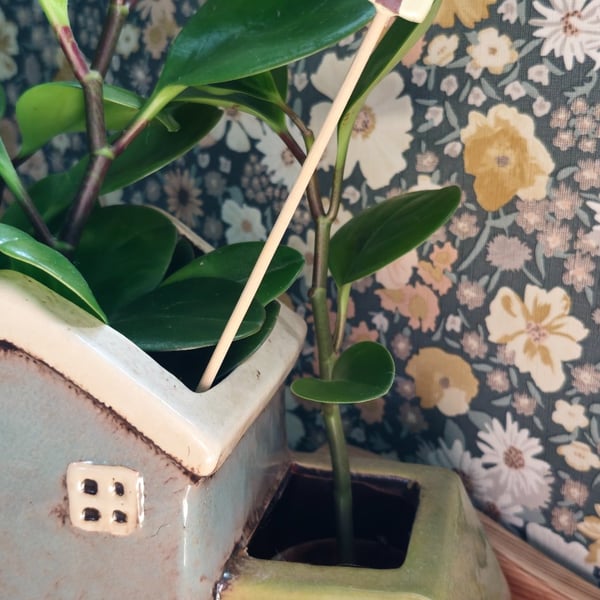 Little House Plant Stake