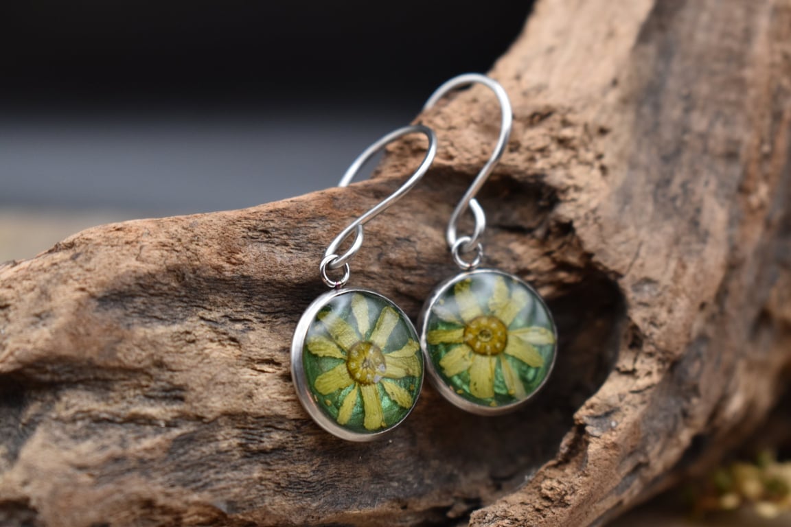 Sycamore Flower Resin Earrings, Green, 304 Stainless Steel, Made in Scotland