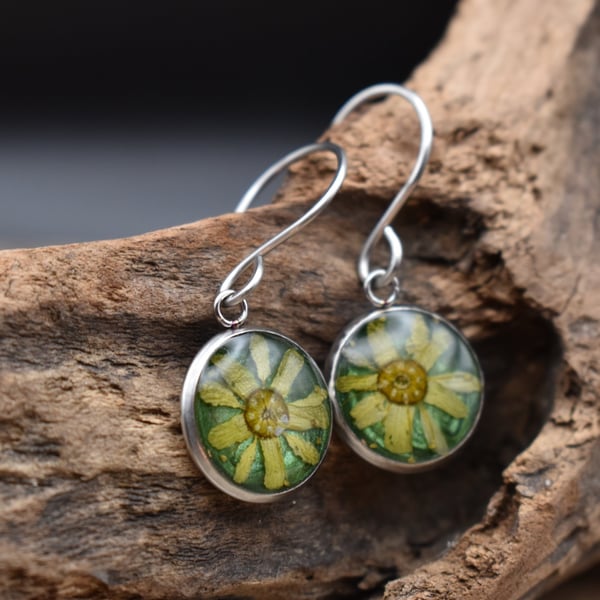 Sycamore Flower Resin Earrings, Green, 304 Stainless Steel, Made in Scotland