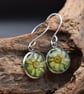 Sycamore Flower Resin Earrings, Green, 304 Stainless Steel, Made in Scotland