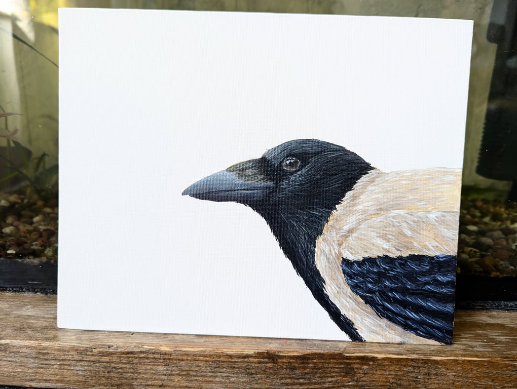 Hooded Crow portrait Painting 