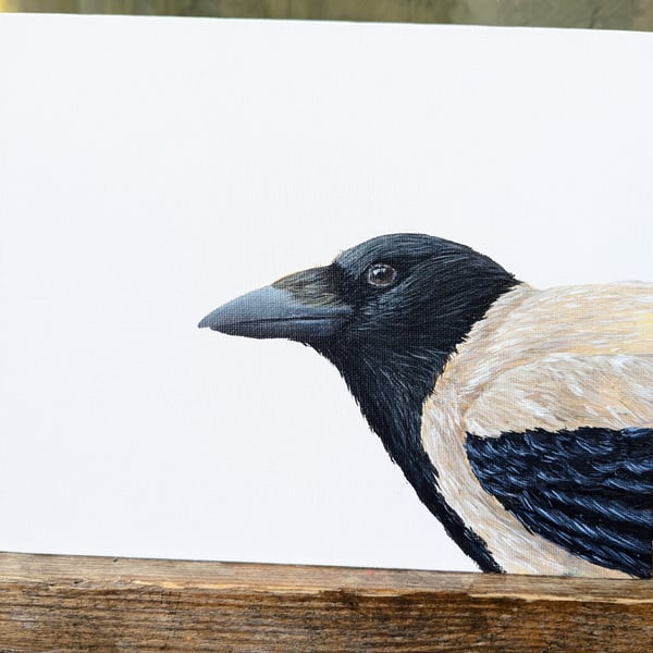 Hooded Crow portrait Painting 