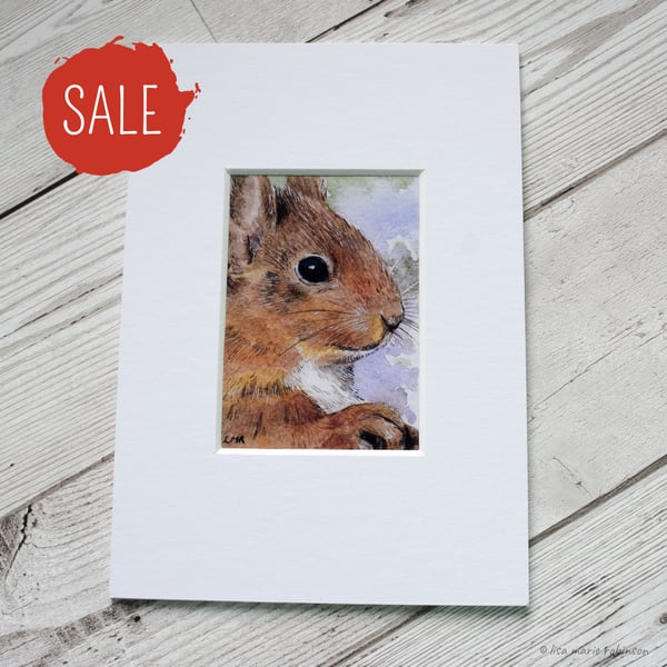 SALE - ACEO Print - Red Squirrel UK Wildlife - Mounted
