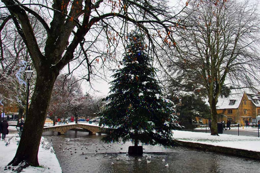 Bourton On The Water Christmas Tree Photograph Print