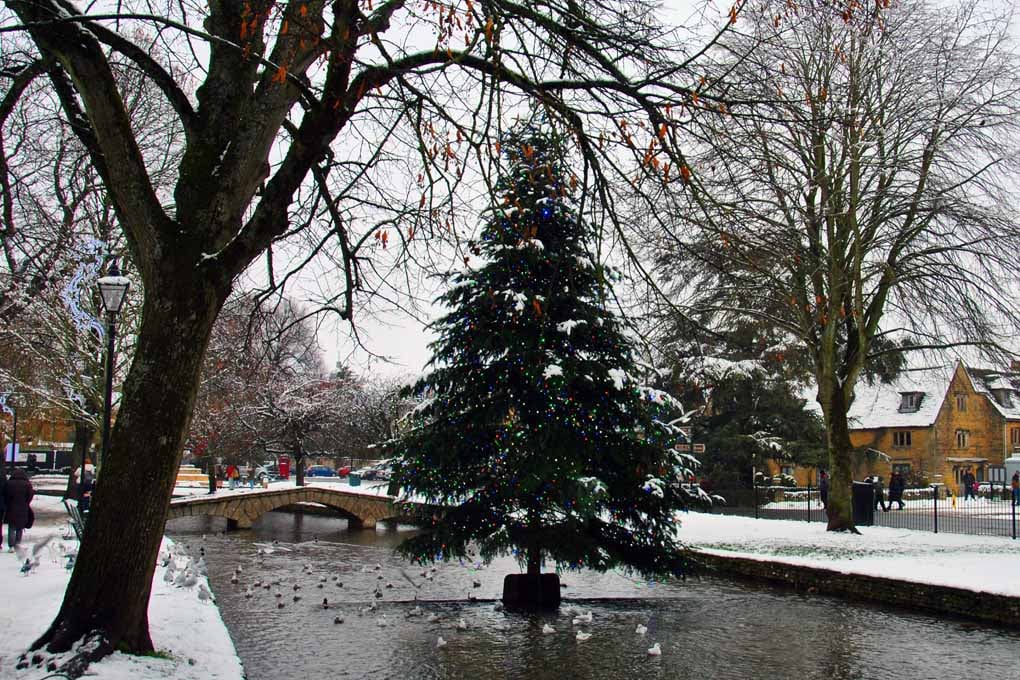 Bourton On The Water Christmas Tree Photograph Print