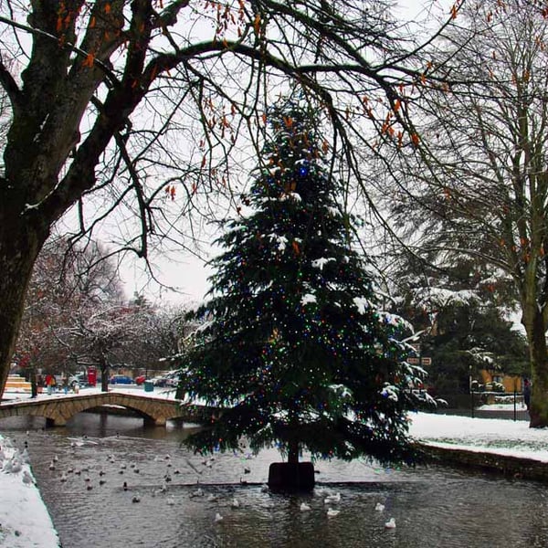 Bourton On The Water Christmas Tree Photograph Print