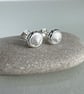 Sterling Silver Scallop Shell Stud Earrings - Image 1