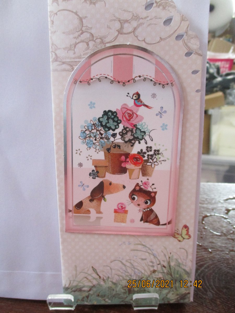 Cat and Dog by Pot Plants Card