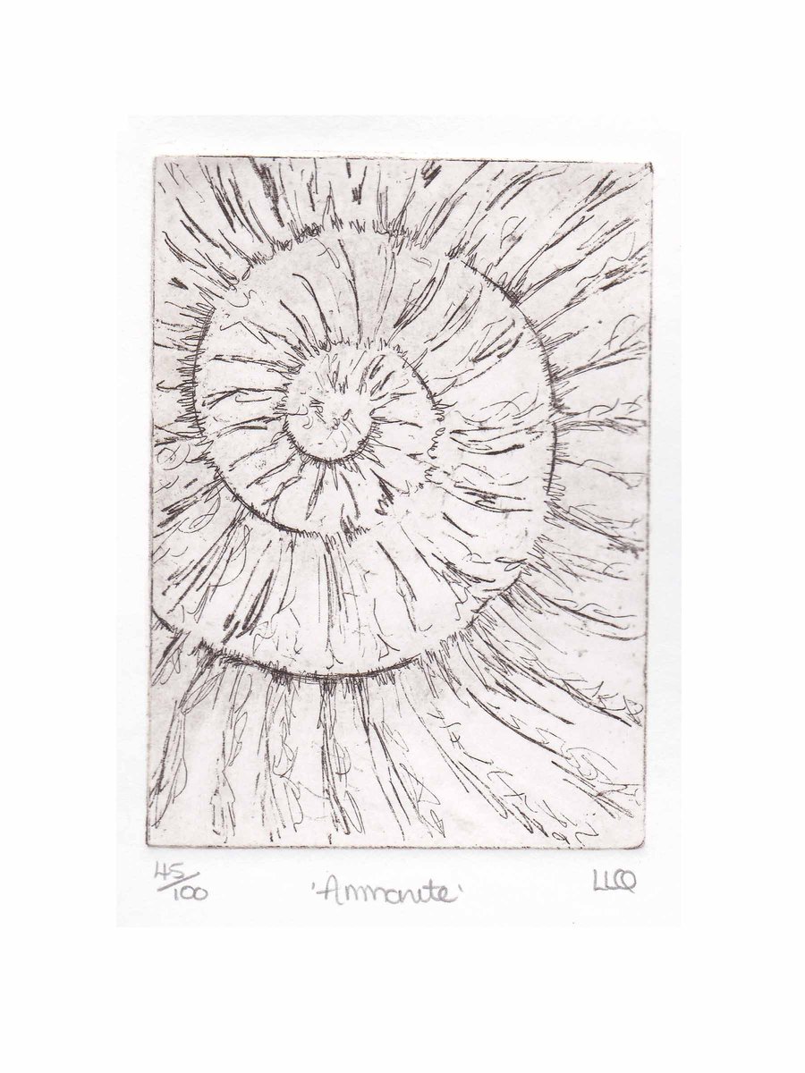 Etching no.45 of an ammonite fossil in an edition of 100