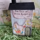 Handcrafted Paper Mache Peter Rabbit Beatrix Potter House Shelf Sitter Nursery 