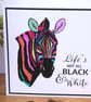 C3403 Life's not all black &white - Image 1