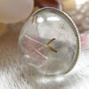 Real Dandelion Seeds Ring In Clear Resin One Size - Make a Wish