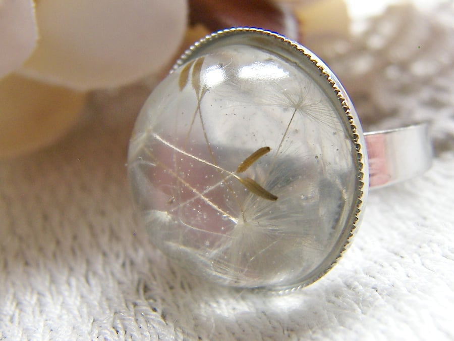 Real Dandelion Seeds Ring In Clear Resin One Size - Make a Wish