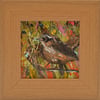 Small Framed Painting of a Wren Bird (5.5 x 5.5 inches. Ready to Hang)