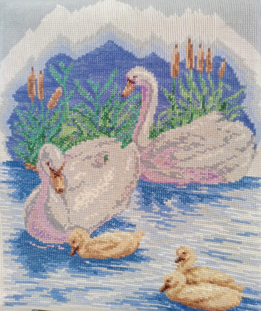 Swans 