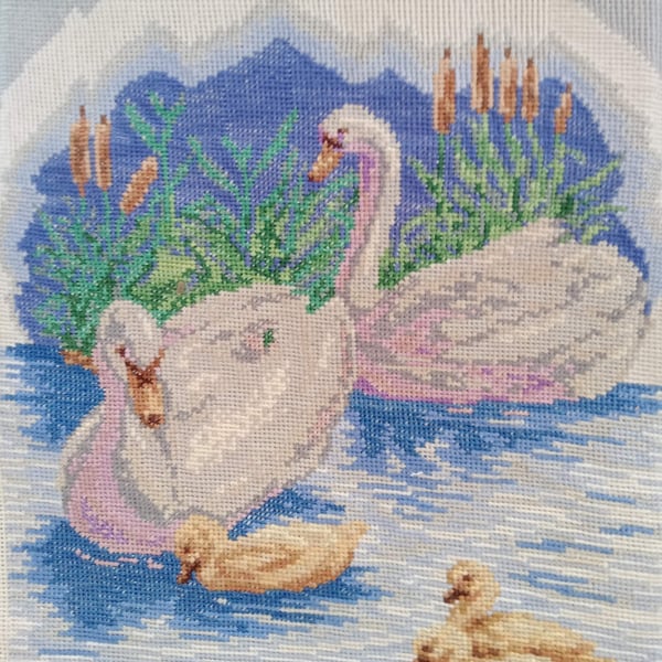 Swans 