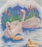 Swans 