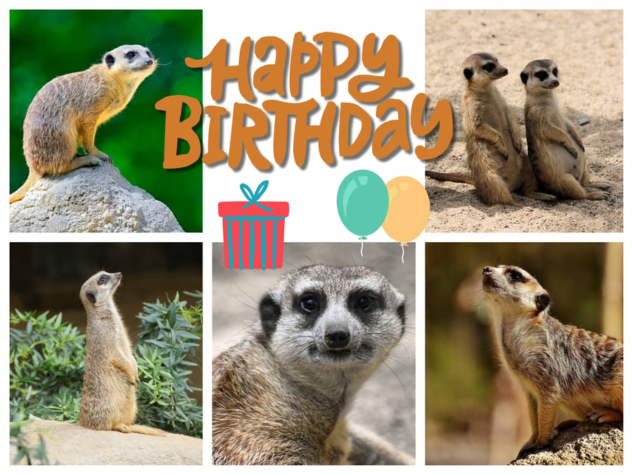 Meerkat Birthday Card 