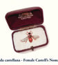 Postcard collection from the Fifty Bees exhibition - Image 4
