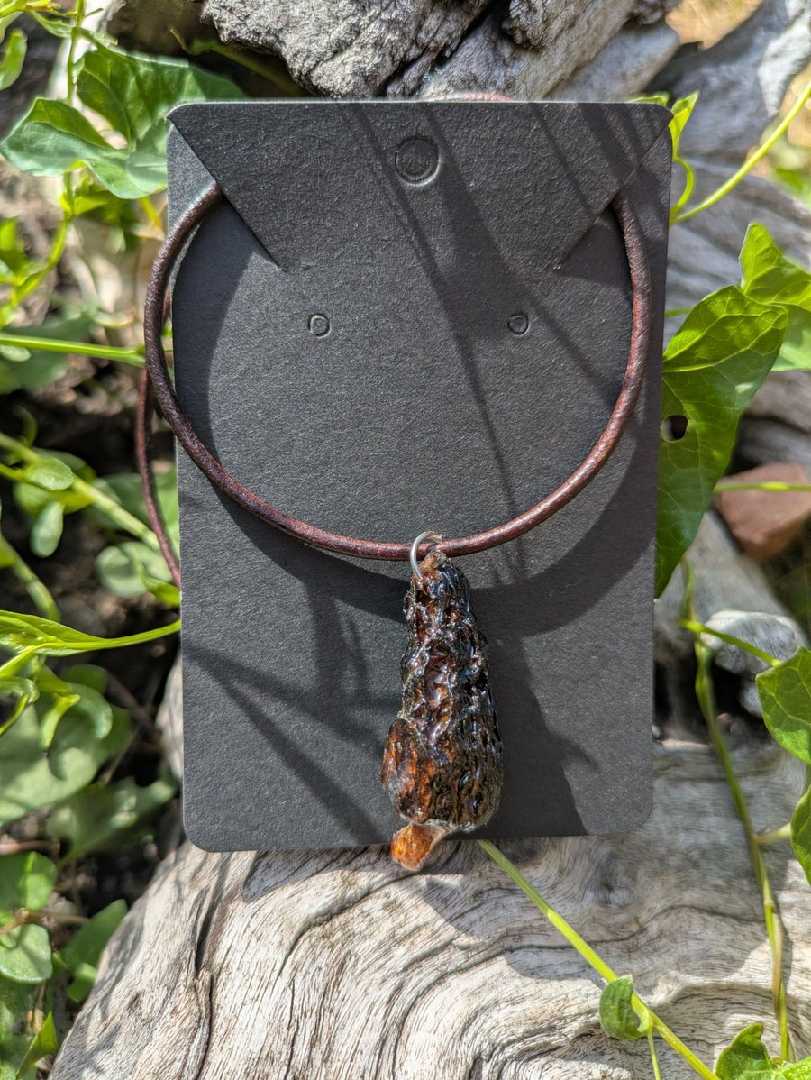 Real Morel Mushroom Pendant Antique leather necklace 