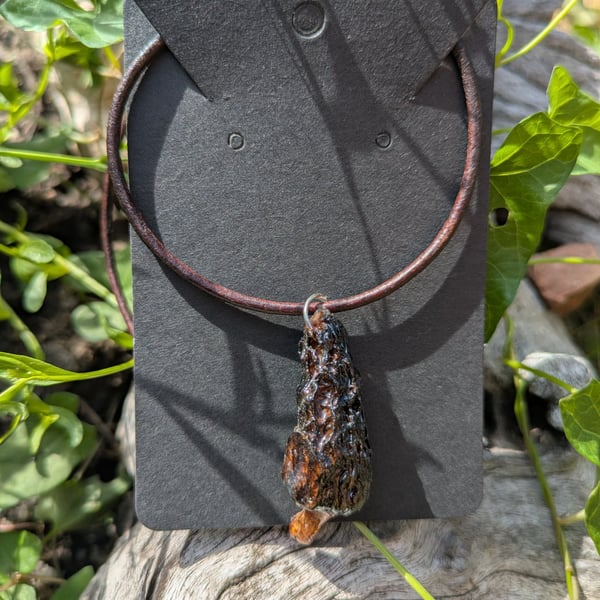 Real Morel Mushroom Pendant Antique leather necklace 