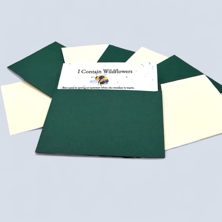 Set of 8 Plantable Wildflower Seed Thank You Cards with Green & Cream Envelopes