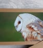Barn Owl Photo Greetings Card - Image 5