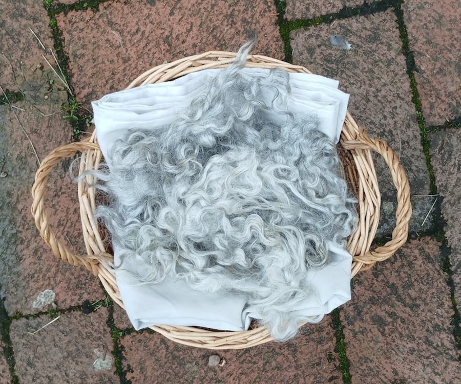 Silver Gotland Fleece
