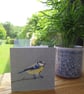 Blue-tit card, printed on recycled card, blank - Image 8