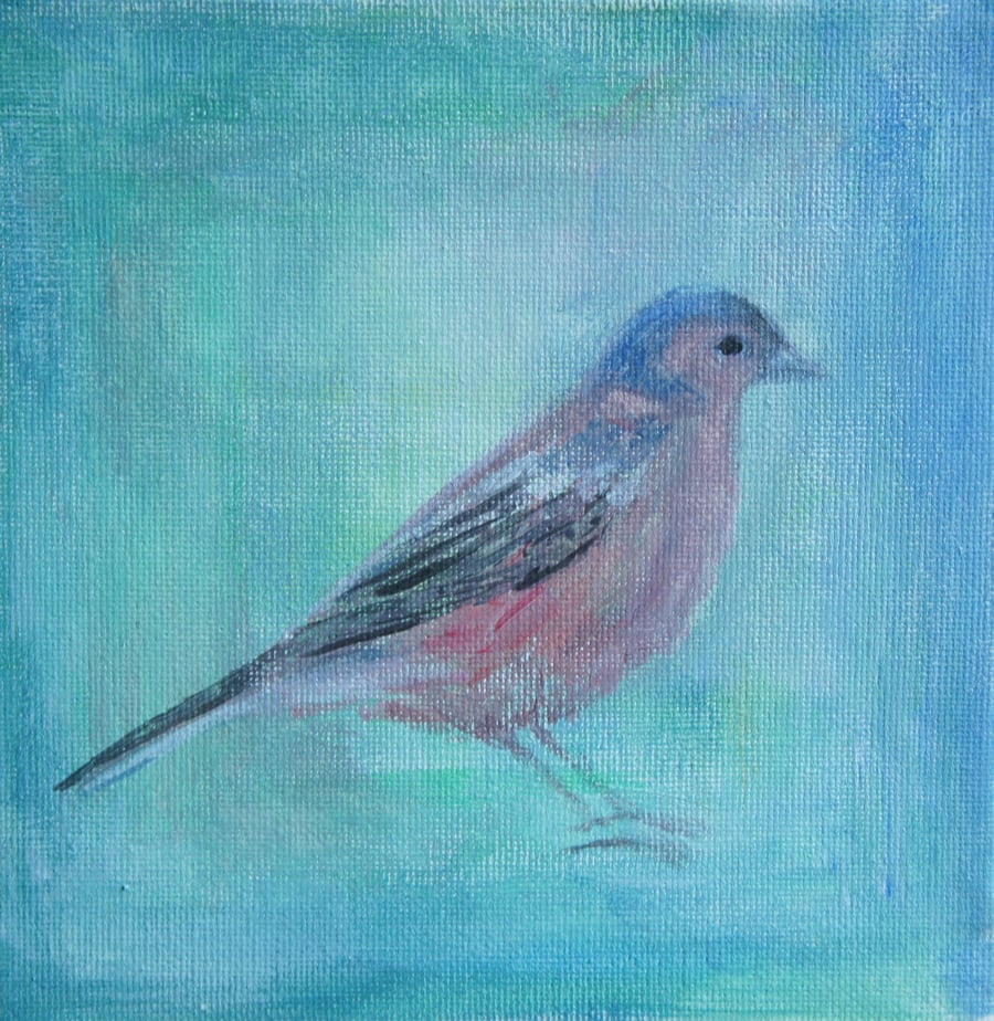 Chaffinch, Original Painting On Canvas