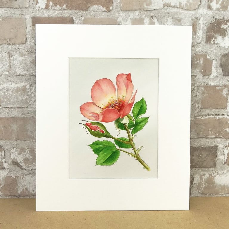 Original Art Watercolour Painting Rose 'For Your Eyes Only'