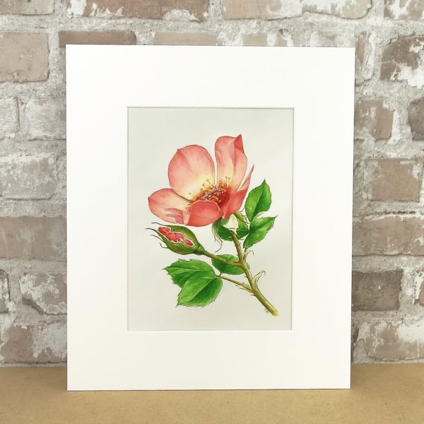 Original Art Watercolour Painting Rose 'For Your Eyes Only'