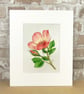 Original Art Watercolour Painting Rose 'For Your Eyes Only'