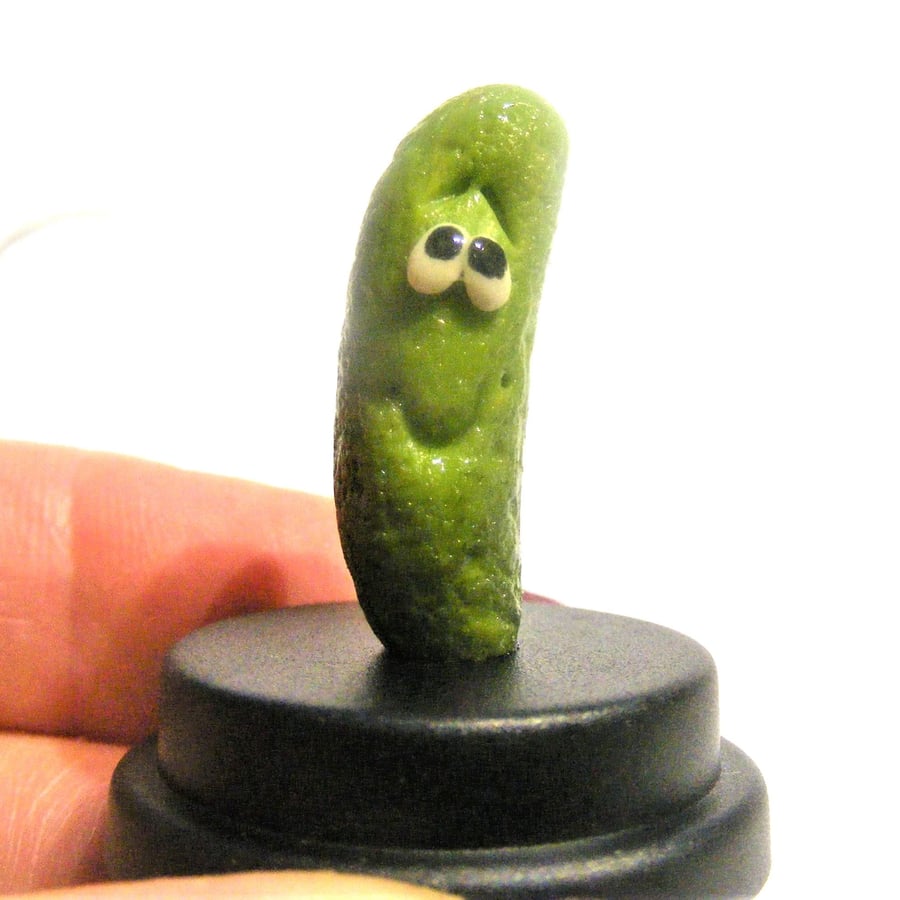 Pet Dill Pickle, Pet Gherkin, Pet Pickle, Pregnancy announcement Pickled gherkin