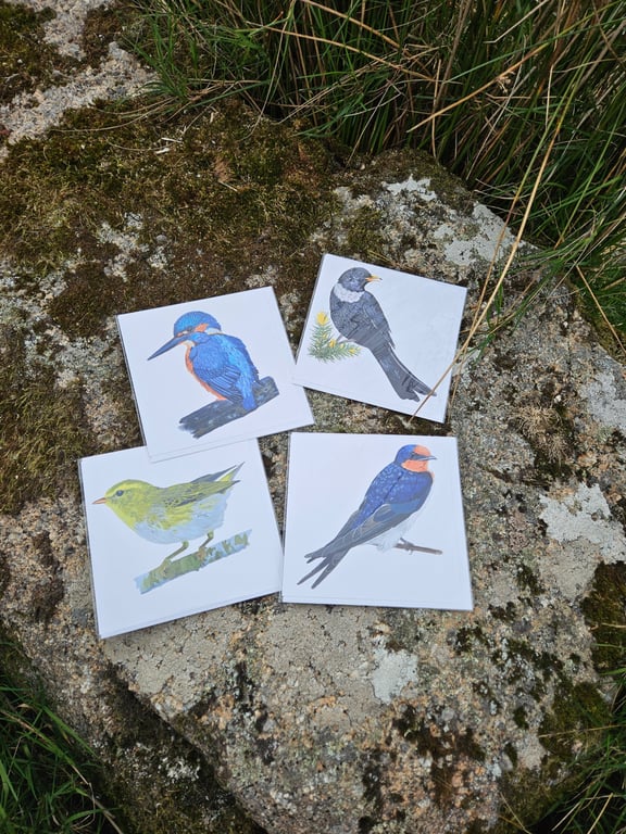 Dartmoor Bird Cards - single