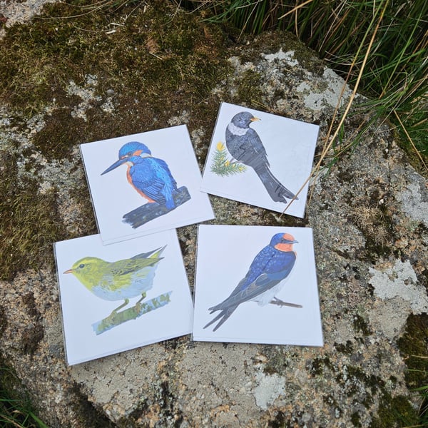 Dartmoor Bird Cards - single