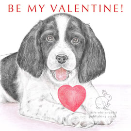 Sally the Springer Spaniel - Valentine Card